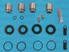 AUTOFREN SEINSA D41697C Repair Kit, brake caliper